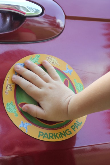 Parking Pal Hands on Car